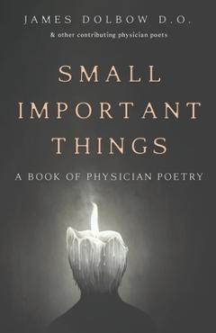 Coperta cărții 'Small Important Things - James Dolbow'