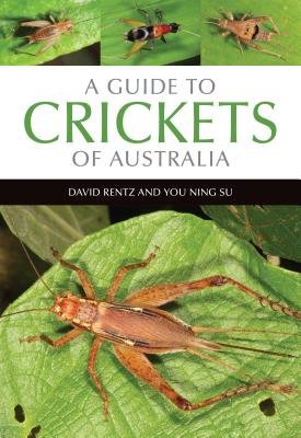 Coperta cărții 'A Guide to Crickets of Australia - David Rentz'