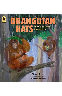 Coperta cărții 'Orangutan Hats and Other Tools Animals Use - Richard Haynes'