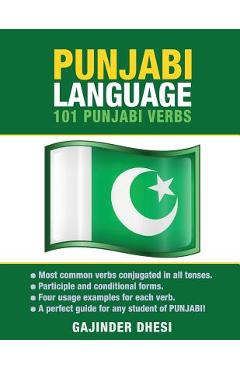 Poza produsului Punjabi Language: 101 Punjabi Verbs - Gajinder Dhesi