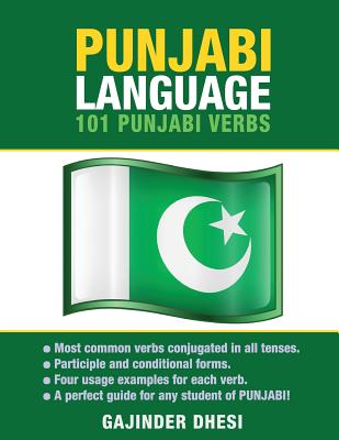 Punjabi Language: 101 Punjabi Verbs - Gajinder Dhesi