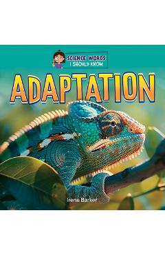 Coperta cărții 'Adaptation - Irene Barker'