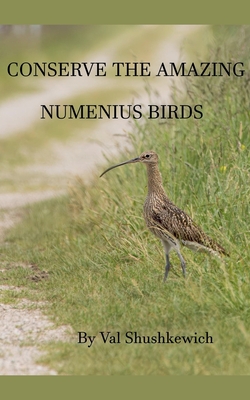 Conserve the Amazing Numenius Birds - Val Shushkewich