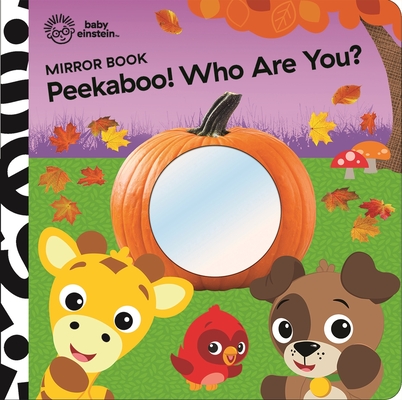 Baby Einstein: Peekaboo! Who Are You? Mirror Book -