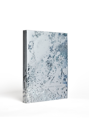 RE: Carrie Yamaoka - Carrie Yamaoka