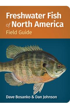 Poza produsului Freshwater Fish of North America Field Guide - Dave Bosanko