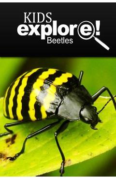 Poza produsului Beetles - Kids Explore: Animal books nonfiction - books ages 5-6 - Kids Explore!