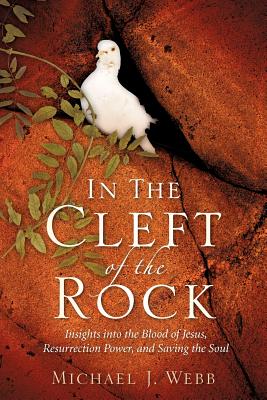 In The Cleft Of The Rock - Michael J. Webb