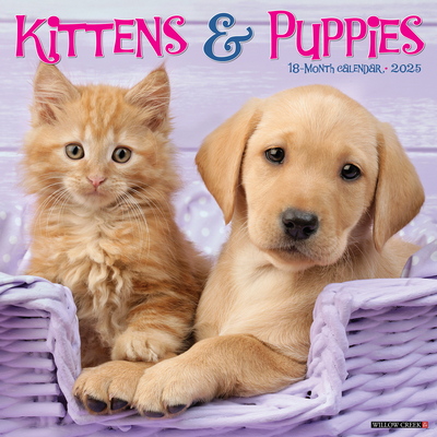 Kittens & Puppies 2026 12 X 12 Wall Calendar -