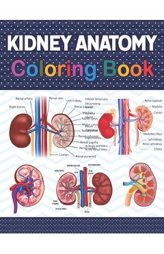 Poza produsului Kidney Anatomy Coloring Book: Fun and Easy Human Kidney Anatomy Coloring Book. Learn The Human Kidney Anatomy With Fun & Easy. Human Kidney Anatomy - Carniaczell Publication