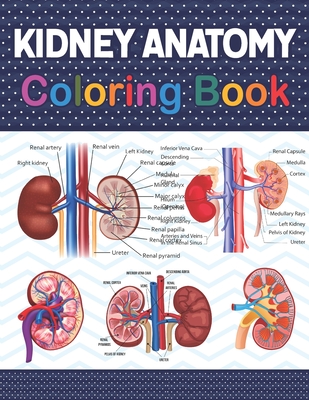 Kidney Anatomy Coloring Book: Fun and Easy Human Kidney Anatomy Coloring Book. Learn The Human Kidney Anatomy With Fun & Easy. Human Kidney Anatomy - Carniaczell Publication