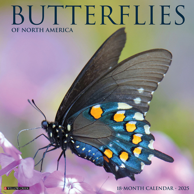Butterflies 2026 12 X 12 Wall Calendar -