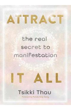 Attract It All: The Real Secret to Manifestation - Tsikki Thau
