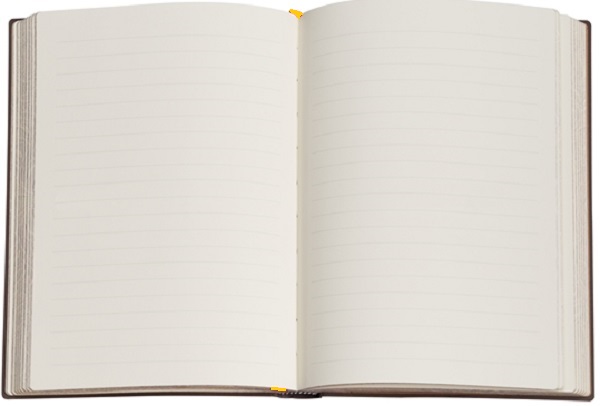 Jurnal: Mini. Black Edition