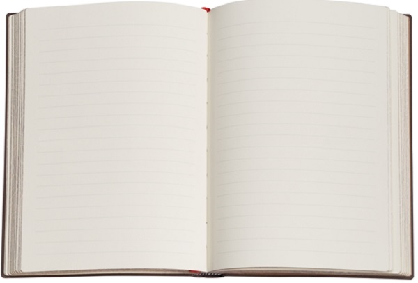 Jurnal: Ultra. Blue Willow