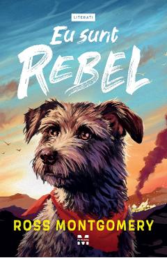 Poza produsului eBook Eu sunt Rebel - Ross Montgomery
