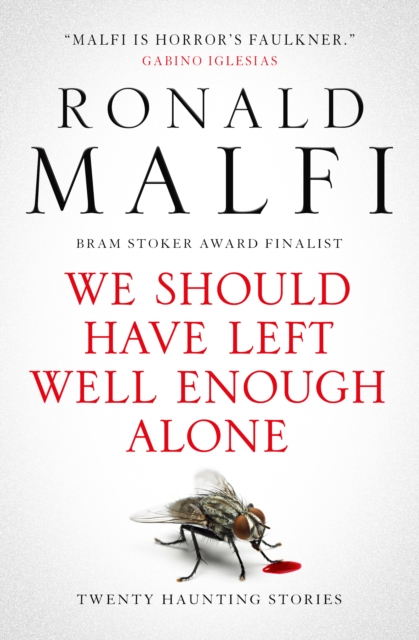 Coperta cărții 'We Should Have Left Well Enough Alone - Ronald Malfi'