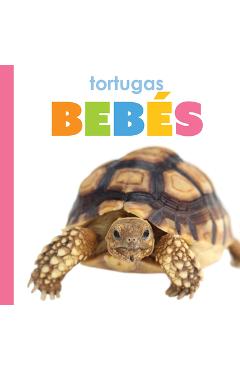 Coperta cărții 'Tortugas Bebes - Meg Greve'