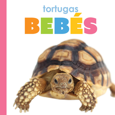 Coperta cărții 'Tortugas Bebes - Meg Greve'