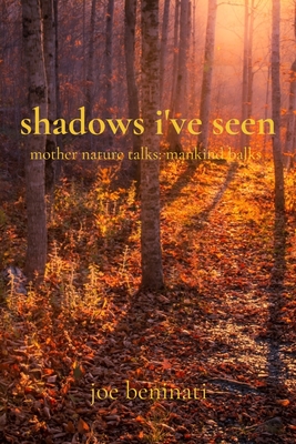 shadows i've seen - Joe Beninati
