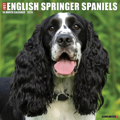 English Springer Spaniels 2026 12 X 12 Wall Calendar -