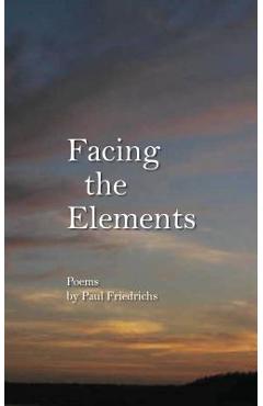Coperta cărții 'Facing the Elements - Paul Edward Friedrichs'