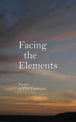 Facing the Elements - Paul Edward Friedrichs