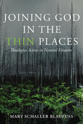 Joining God in the Thin Places: Theologies Active in Natural Disaster - Mary Schaller Blaufuss