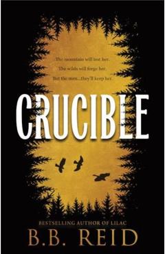 Crucible (Standard Edition) - B. B. Reid