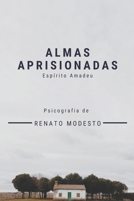 Almas Aprisionadas: Amor e Intriga no Brasil Imperial - Renato Modesto