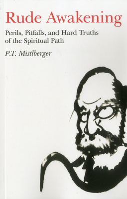 Rude Awakening: Perils, Pitfalls, and Hard Truths of the Spiritual Path - P. T. Mistlberger