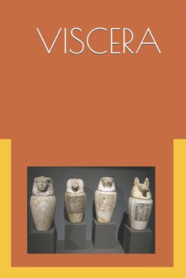 The Viscera: Ancient Egyptian Internal Medicine - Alaaeldin Hamada