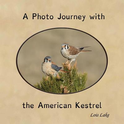 A Photo Journey with the American Kestrel - Lois Lake
