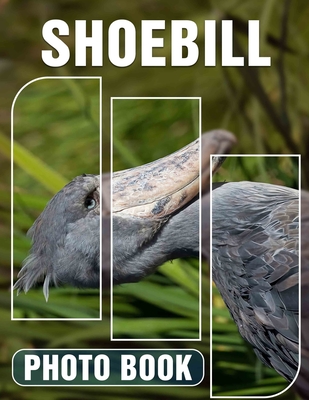 Shoebill Photo Book: Explore The Enigmatic Shoebill Through 40 Stunning Captivating Images And Unique Facts - Cleo Reed