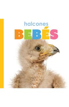 Coperta cărții 'Halcones Bebes - Meg Greve'