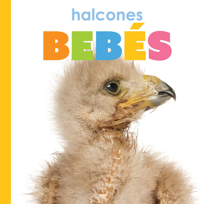 Coperta cărții 'Halcones Bebes - Meg Greve'