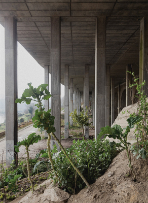 Notes from the Underdog: Agriculture for Subsistence in Porto - John Wriedt