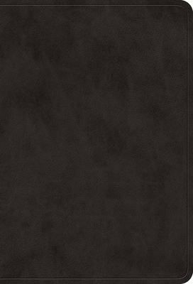 ESV Value Large Print Compact Bible (Trutone, Black) -