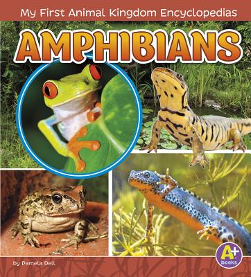 Amphibians - Emma Bernay