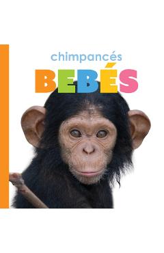 Coperta cărții 'Chimpances Bebes - Meg Greve'