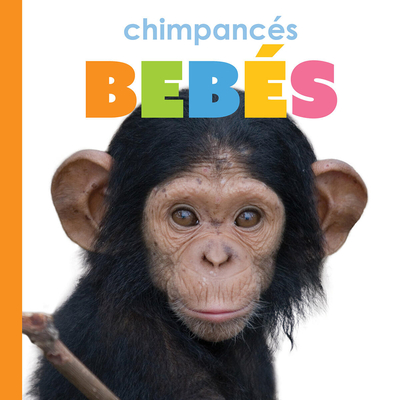 Coperta cărții 'Chimpances Bebes - Meg Greve'