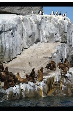 Coperta cărții 'A Revolução dos Pinguins - Roger González Margalef'