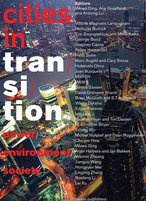 Cities in Transition: Power, Environment, Society - Wowo Ding