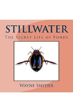 Coperta cărții 'Stillwater: The Secret Life of Ponds - Wayne Snyder'