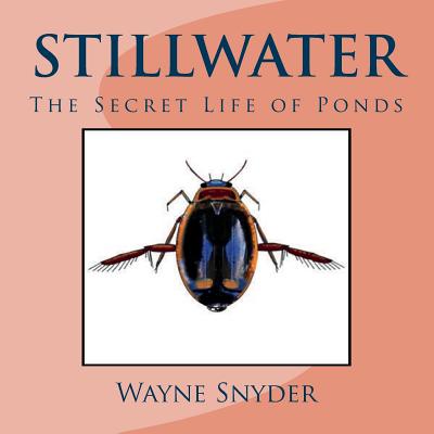 Stillwater: The Secret Life of Ponds - Wayne Snyder