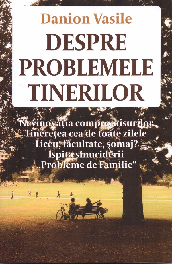 Despre problemele tinerilor - Danion Vasile