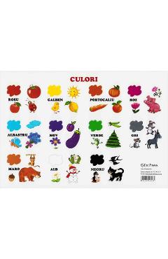 Coperta cărții 'Planșa. Culori'