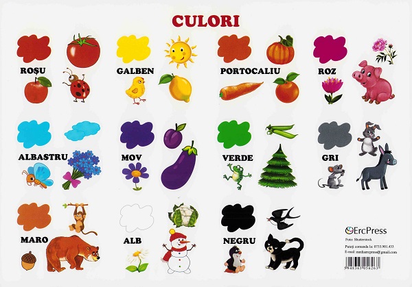 Plansa. Culori