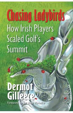 Coperta cărții 'Chasing Ladybirds - Dermot Gilleece'
