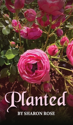 Planted - Sharon Rose